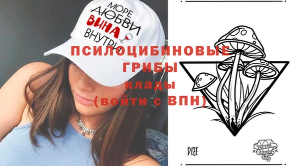 тгк Верея