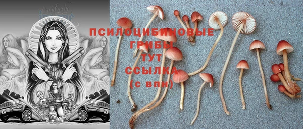 тгк Верея