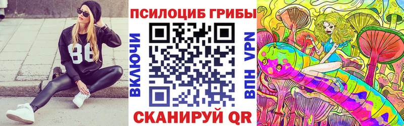 дарнет шоп  Медвежьегорск  Псилоцибиновые грибы GOLDEN TEACHER 